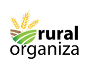 CONSULTORIA E GESTÃO DE MARCAS